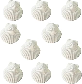 お皿に☆天然ホタテ貝殻 2枚 夏休み工作 お皿に☆天然ホタテ貝殻 2枚 夏休み工作